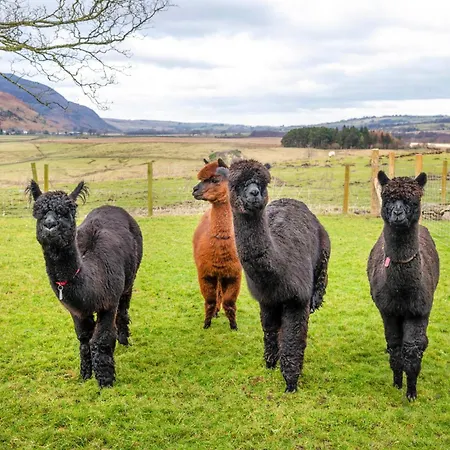 Saddleback Barn Casa de Férias Penrith