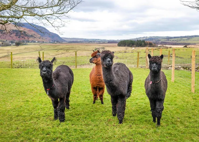 Saddleback Barn Feriehus Penrith