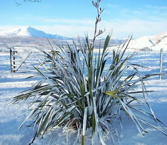 Saddleback Barn Feriehus
